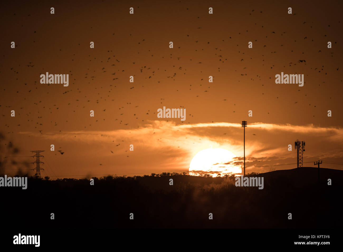 Sunset at sunset. view of the west of the city of Hermosillo, capital of Sonora. © (photo by Luis Gutierrez/Norte Photo)  Puesta del sol al atardecer. Stock Photo