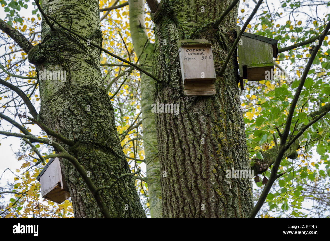 Bird nesting boxes attached to trees Stock Photo Alamy