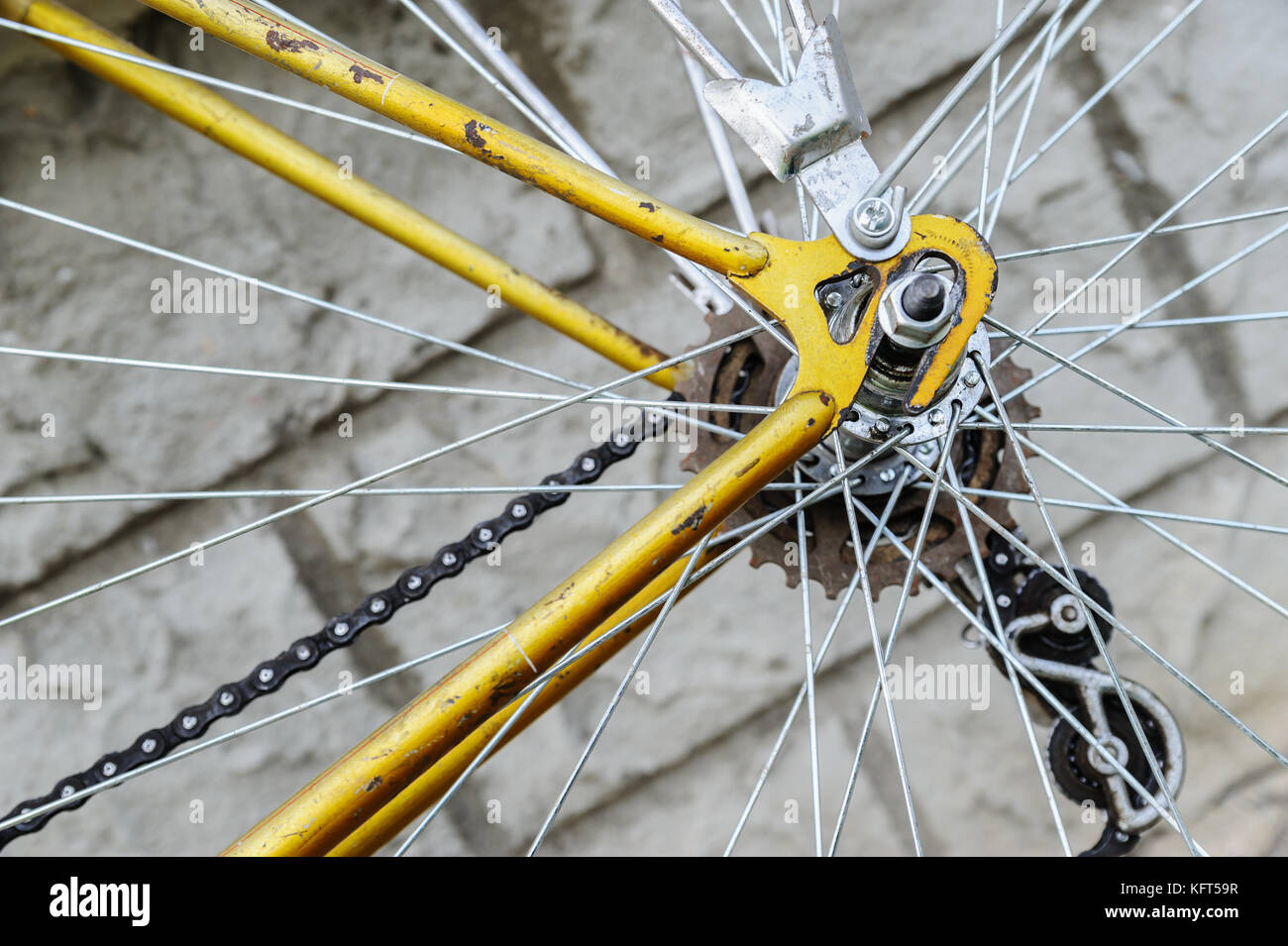 rear bike wheel with gears