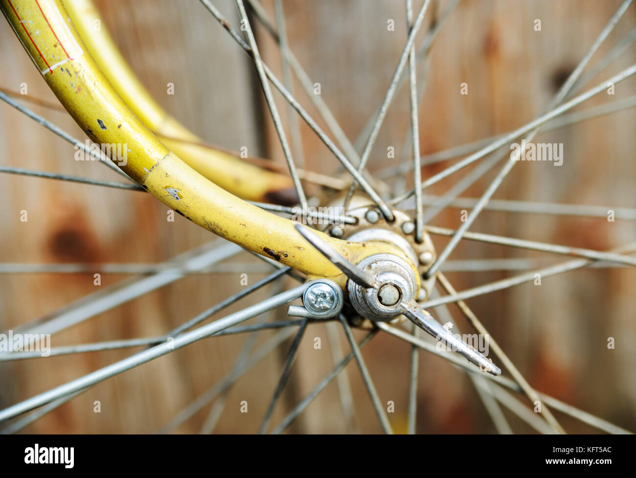 Bicycle wheel hub. A hub with spokes fixed to the brackets with nuts