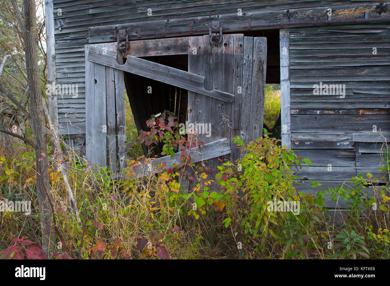 An abandoned  old barn (1800's) on a farm in rural Moretown, Vermont, USA Stock Photo