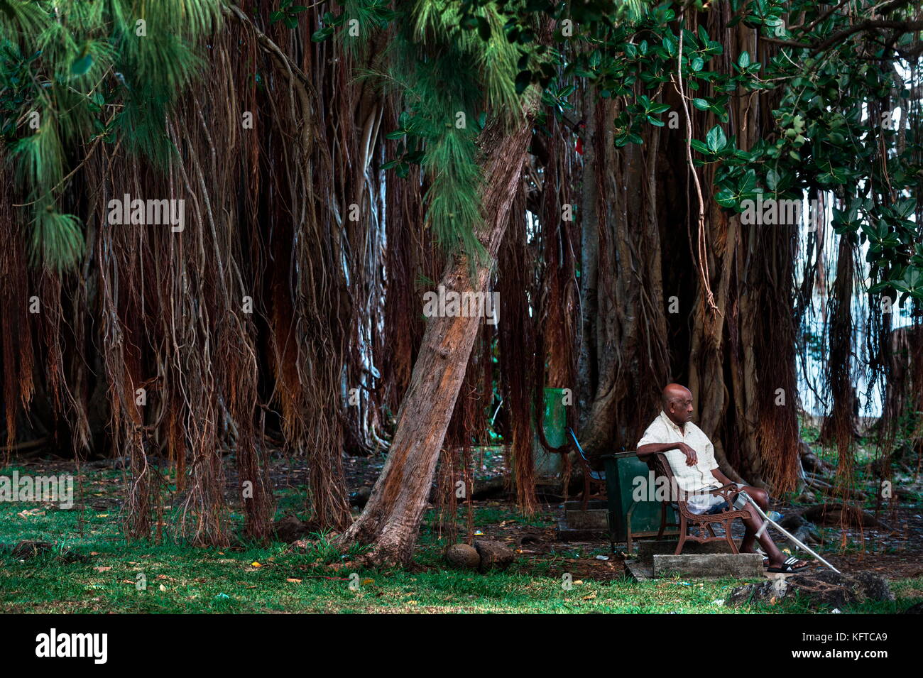 Red bus converted into a cafe, Saint Martin, Mauritius Stock Photo - Alamy