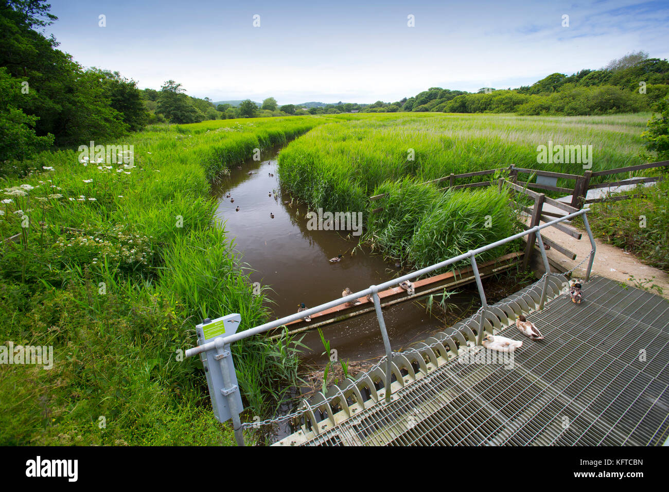 The Causeway, Freshwater, flood, gate, Isle of Wight, England, UK Stock