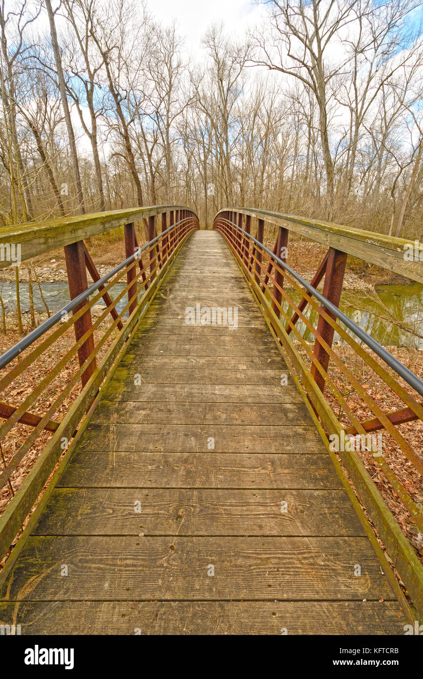 Footbridge over a Quiet River in the Cache River Natural Area in Illinois Stock Photo