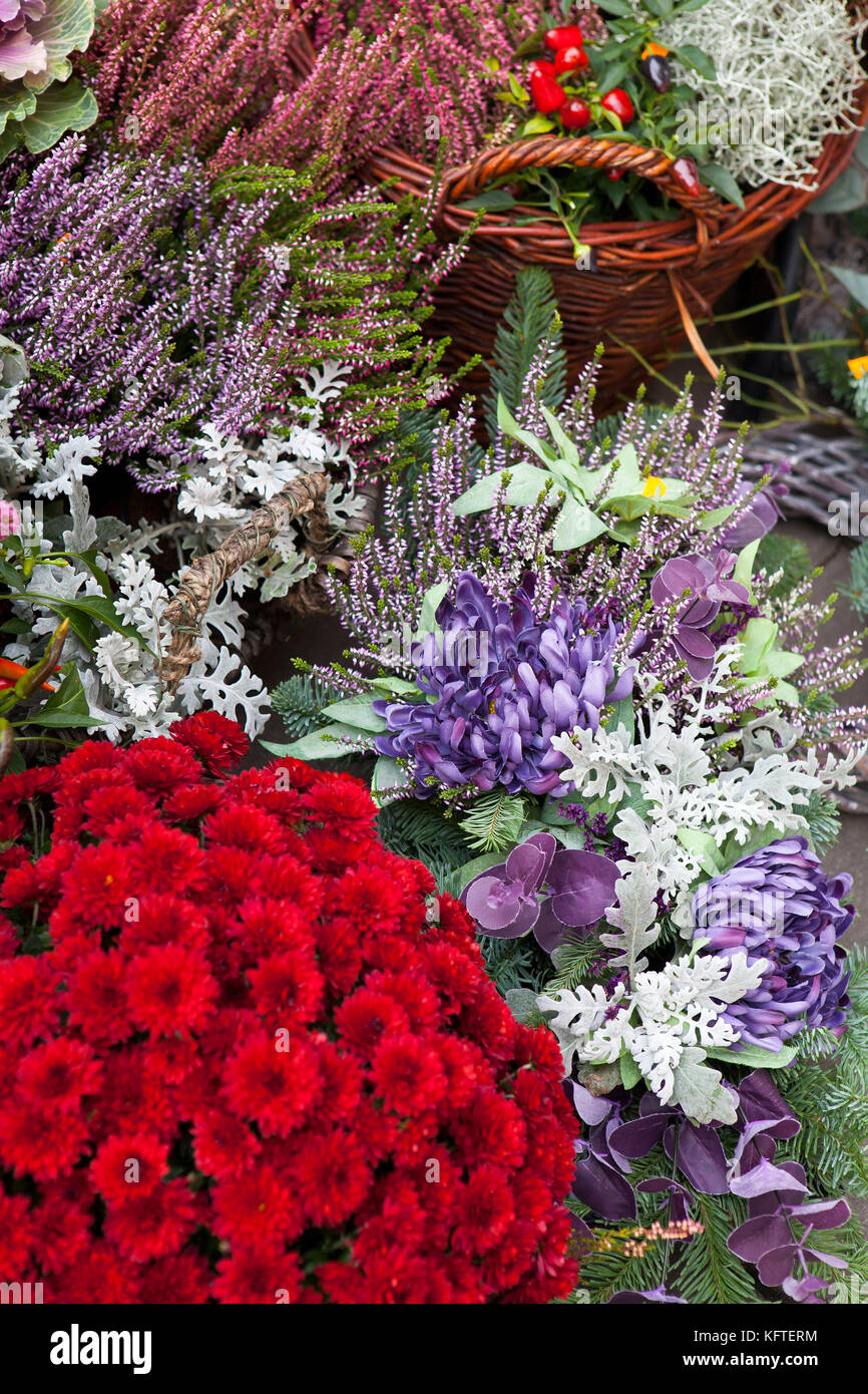 Violet Fall Color Variety of autumn colors in violet for sale on the market Stock Photo ...