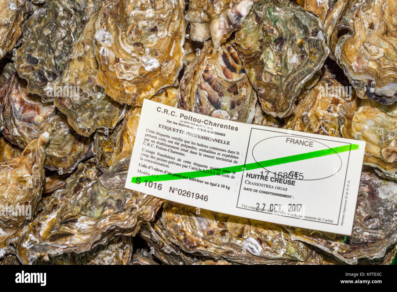 Certificate of quality and freshness for oysters - France. Stock Photo