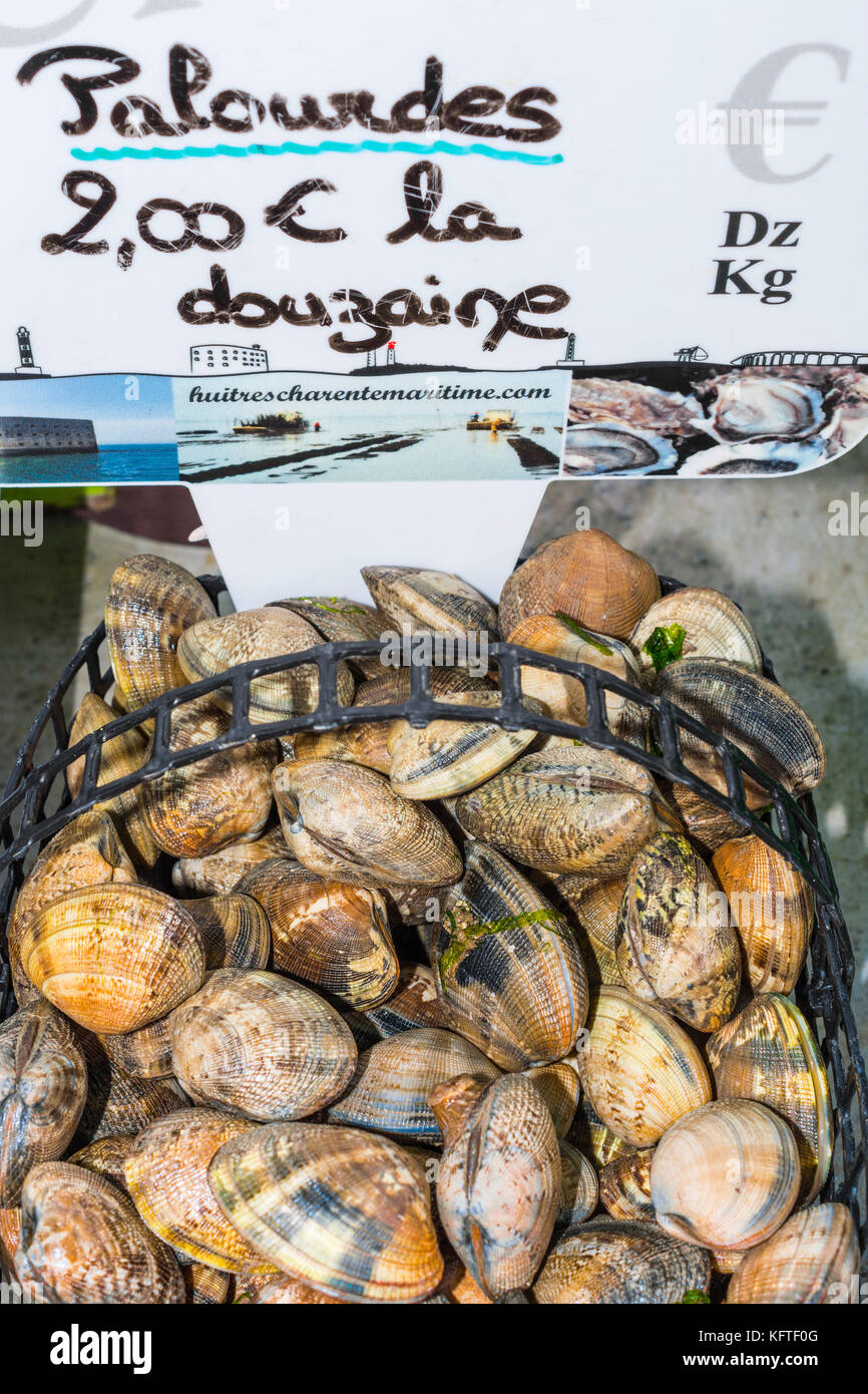 Basket of fresh clams on market stall - France. Stock Photo