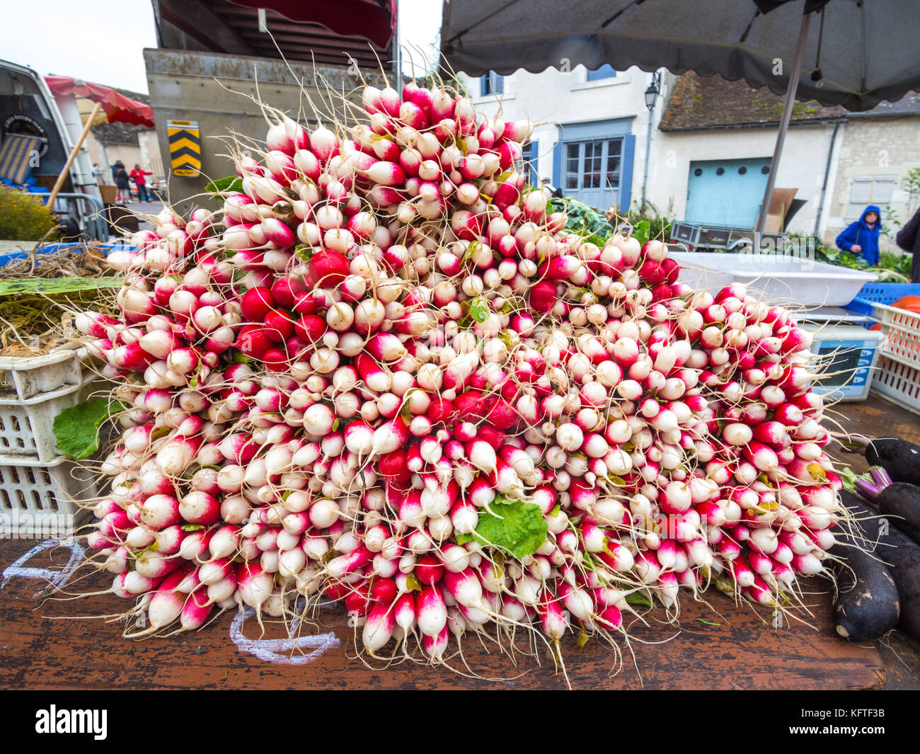 Bunches of radishes on market stall - France. Stock Photo