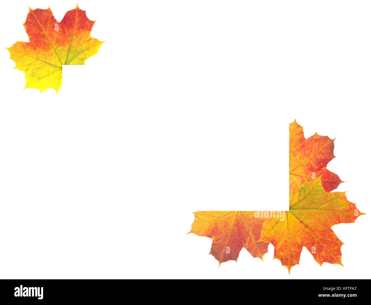 Autumn Leaves as frame on white background Stock Photo - Alamy