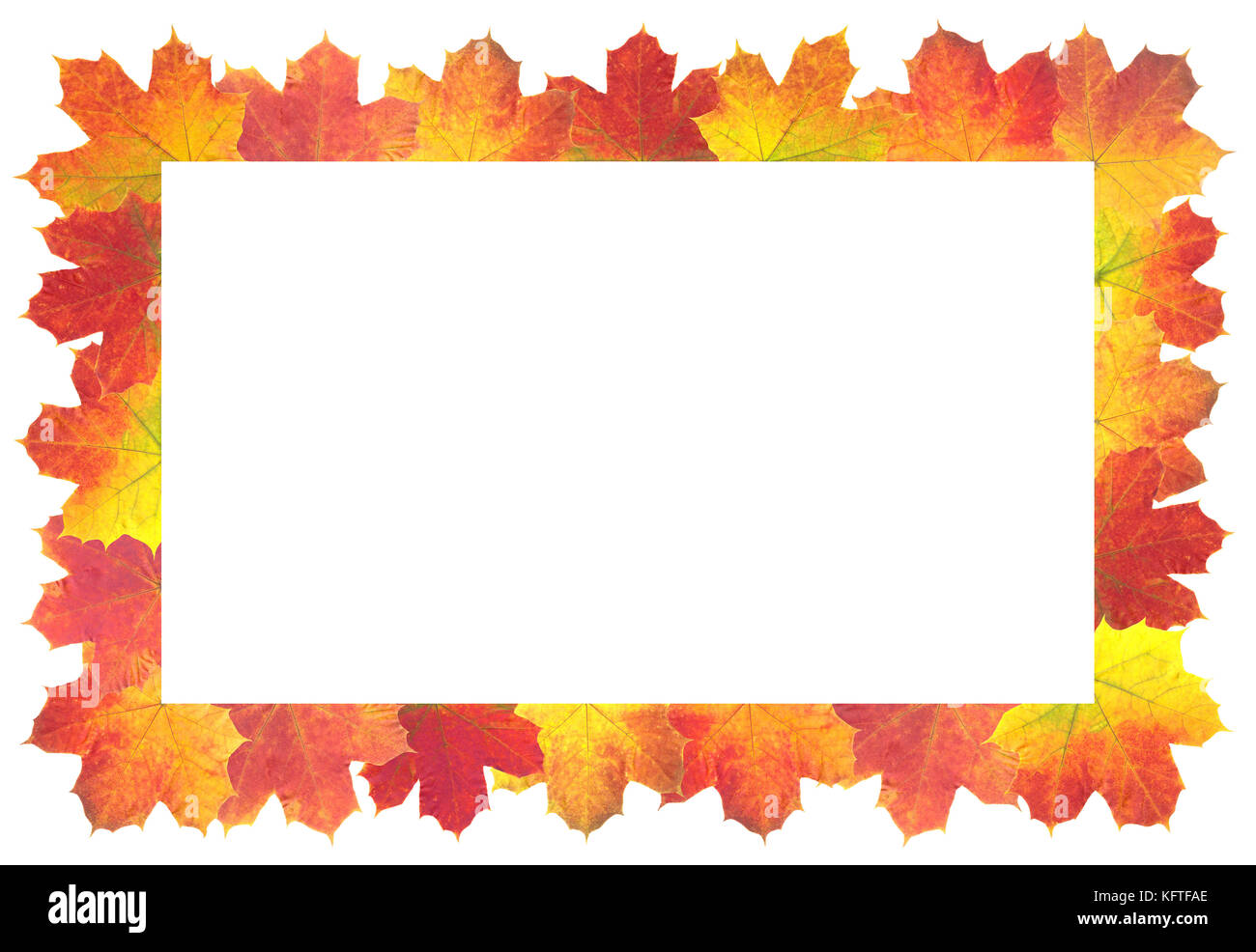 Autumn Leaves as frame on white background Stock Photo - Alamy