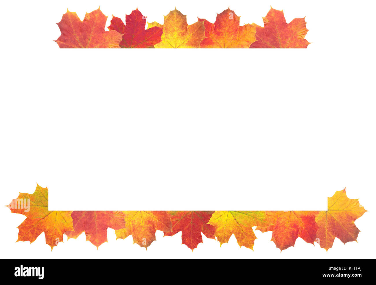 Autumn Leaves as frame on white background Stock Photo - Alamy