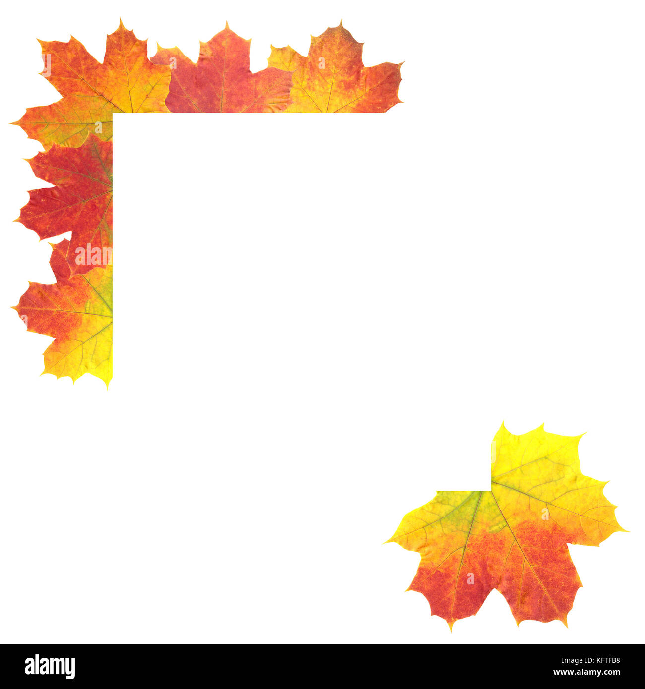 Autumn Leaves as frame on white background Stock Photo - Alamy