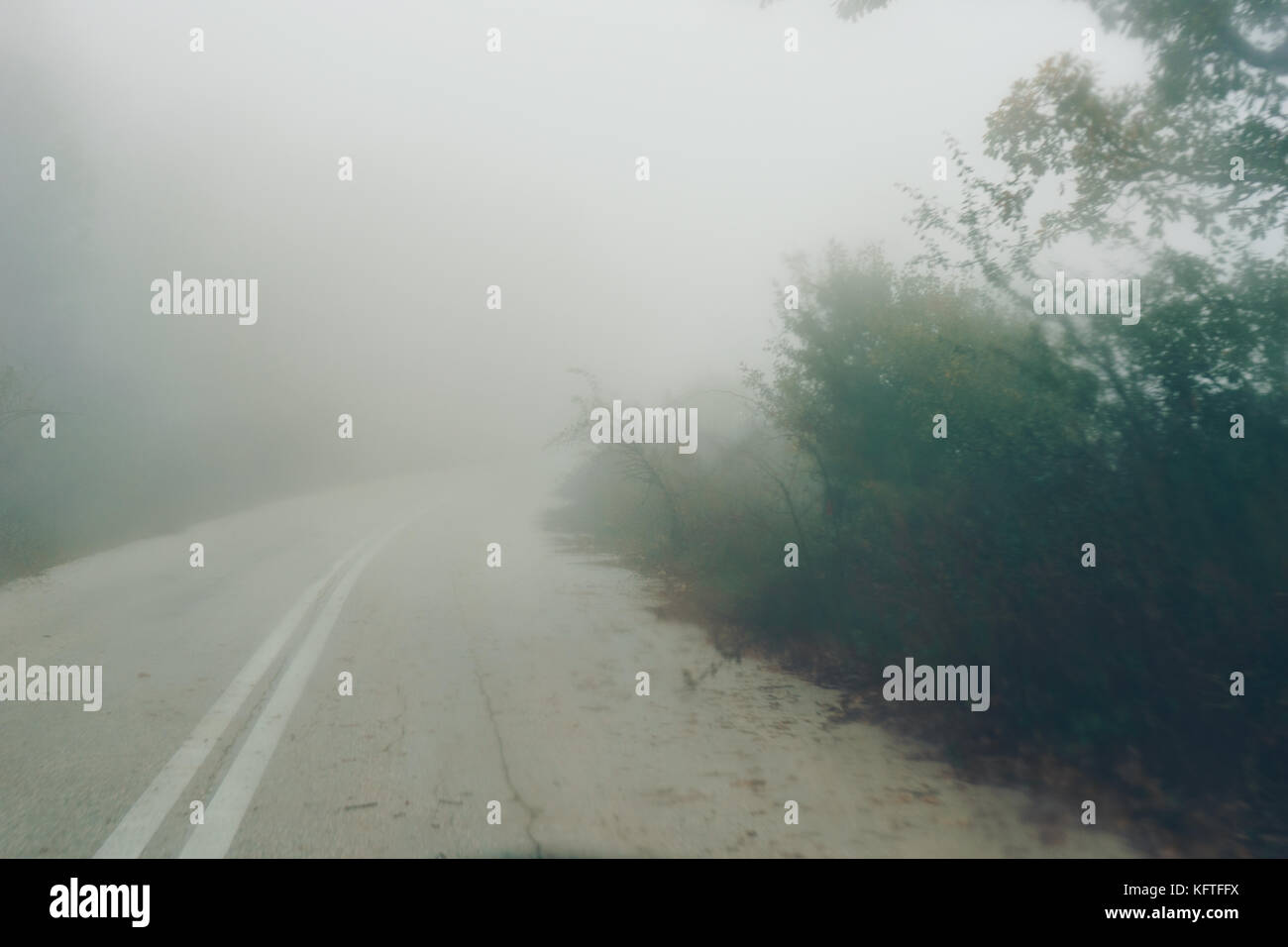 Autumn landscape, foggy road in forest Stock Photo - Alamy
