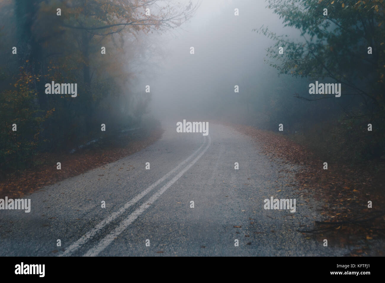 Autumn landscape, foggy road in forest Stock Photo - Alamy