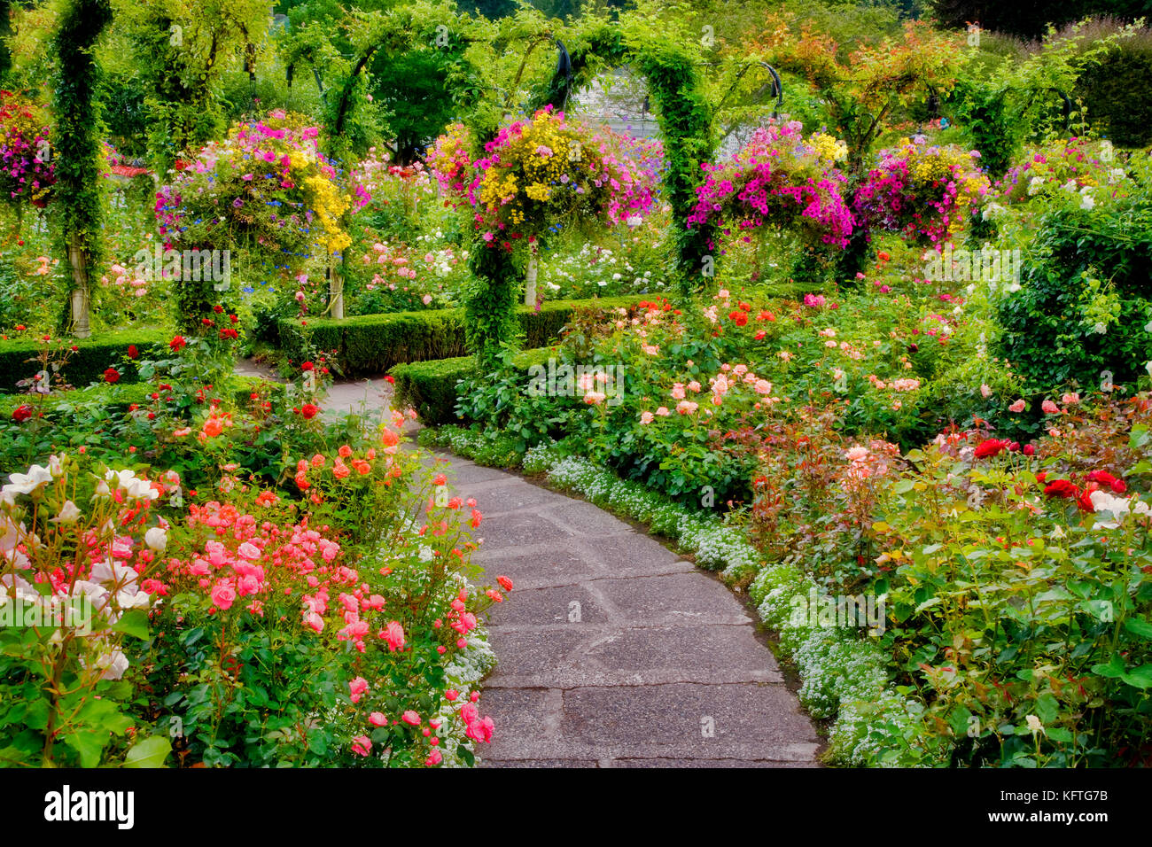 Pathway with flowers. Butchart Gardens, B.C. Canada Stock Photo - Alamy