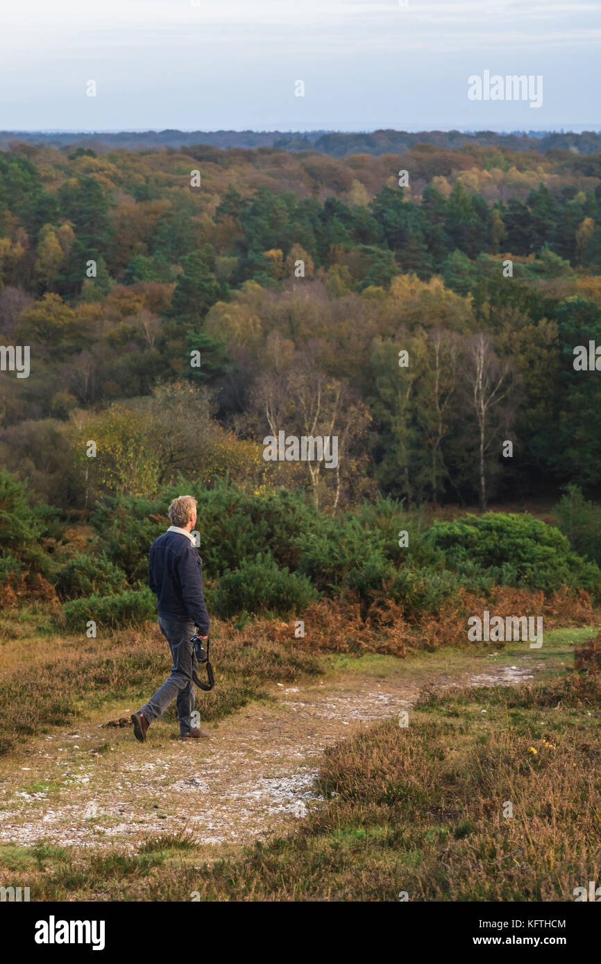 Man walking in the New Forest National Park during autumn, Hampshire, UK Stock Photo