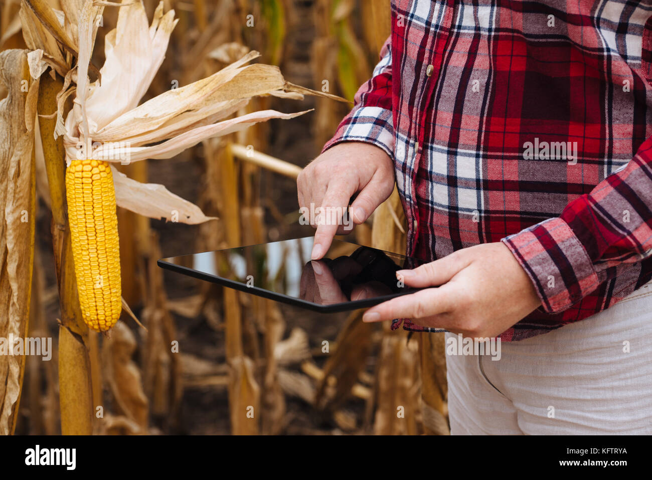 Farmer scientist using digital hi-res stock photography and images - Alamy