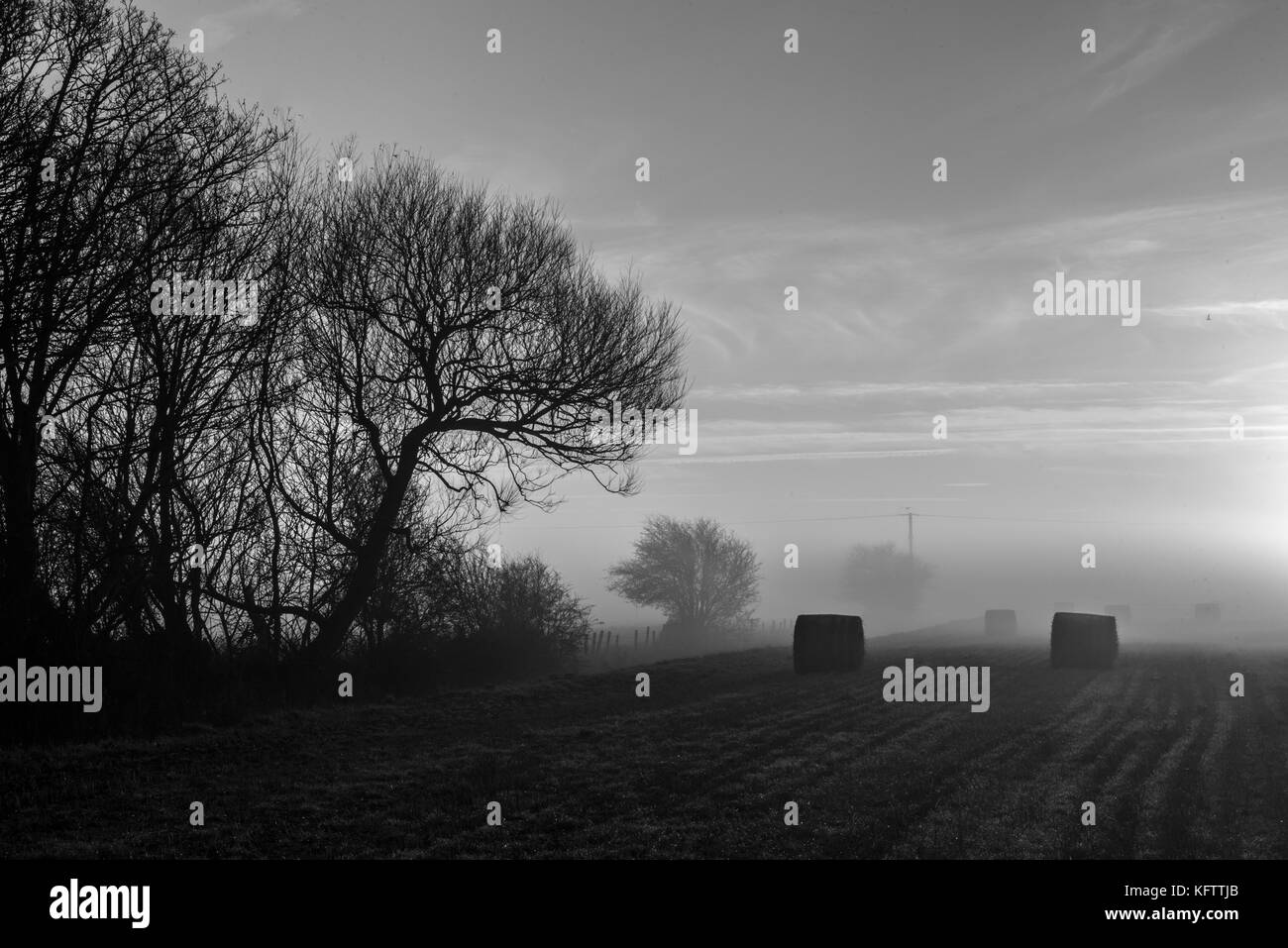 Misty evening in the English countryside with hay bales Stock Photo