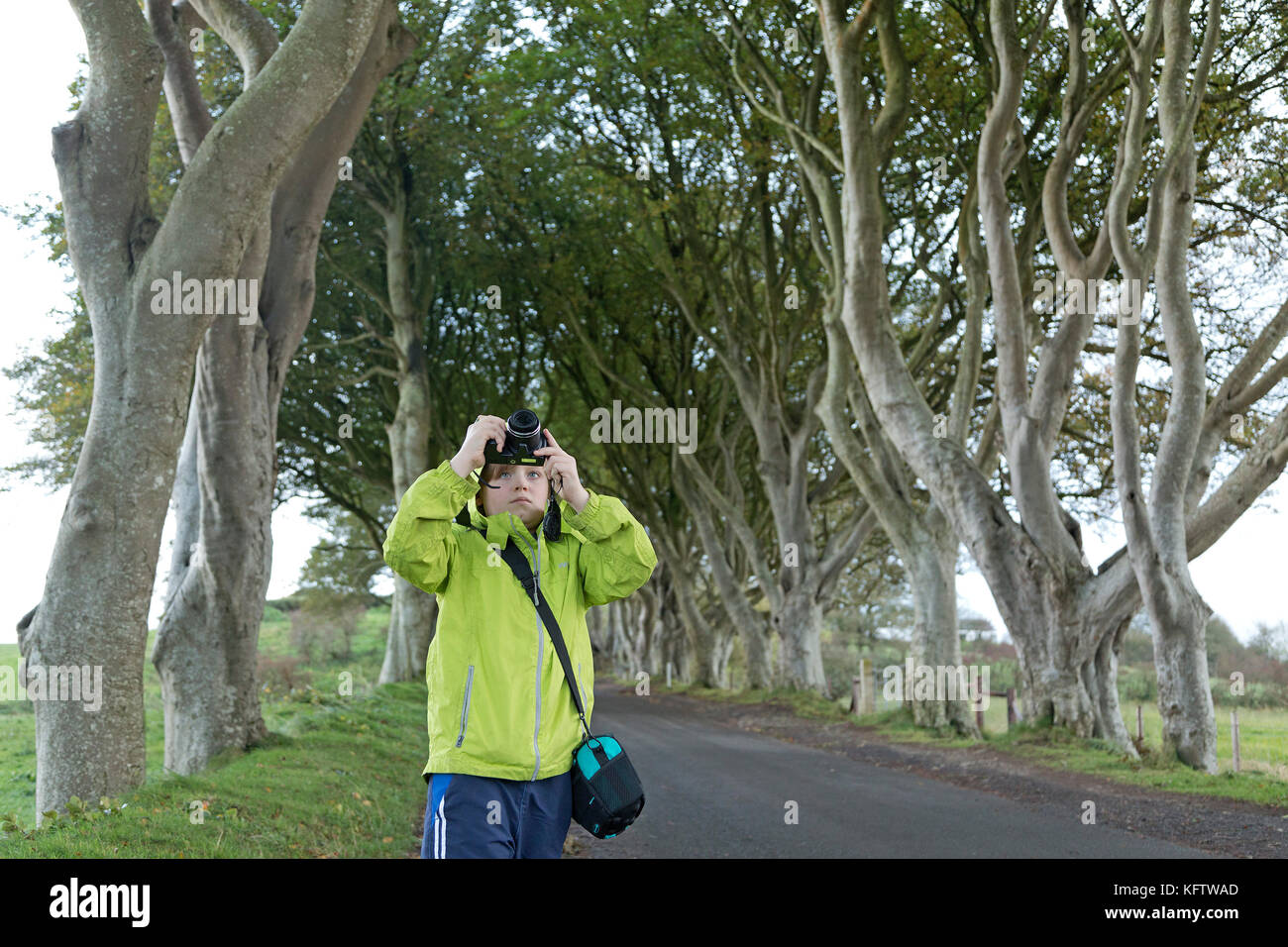 boy taking photos, Dark Hedges, Stranocum, Ballymoney, Co. Antrim, Northern Ireland Stock Photo