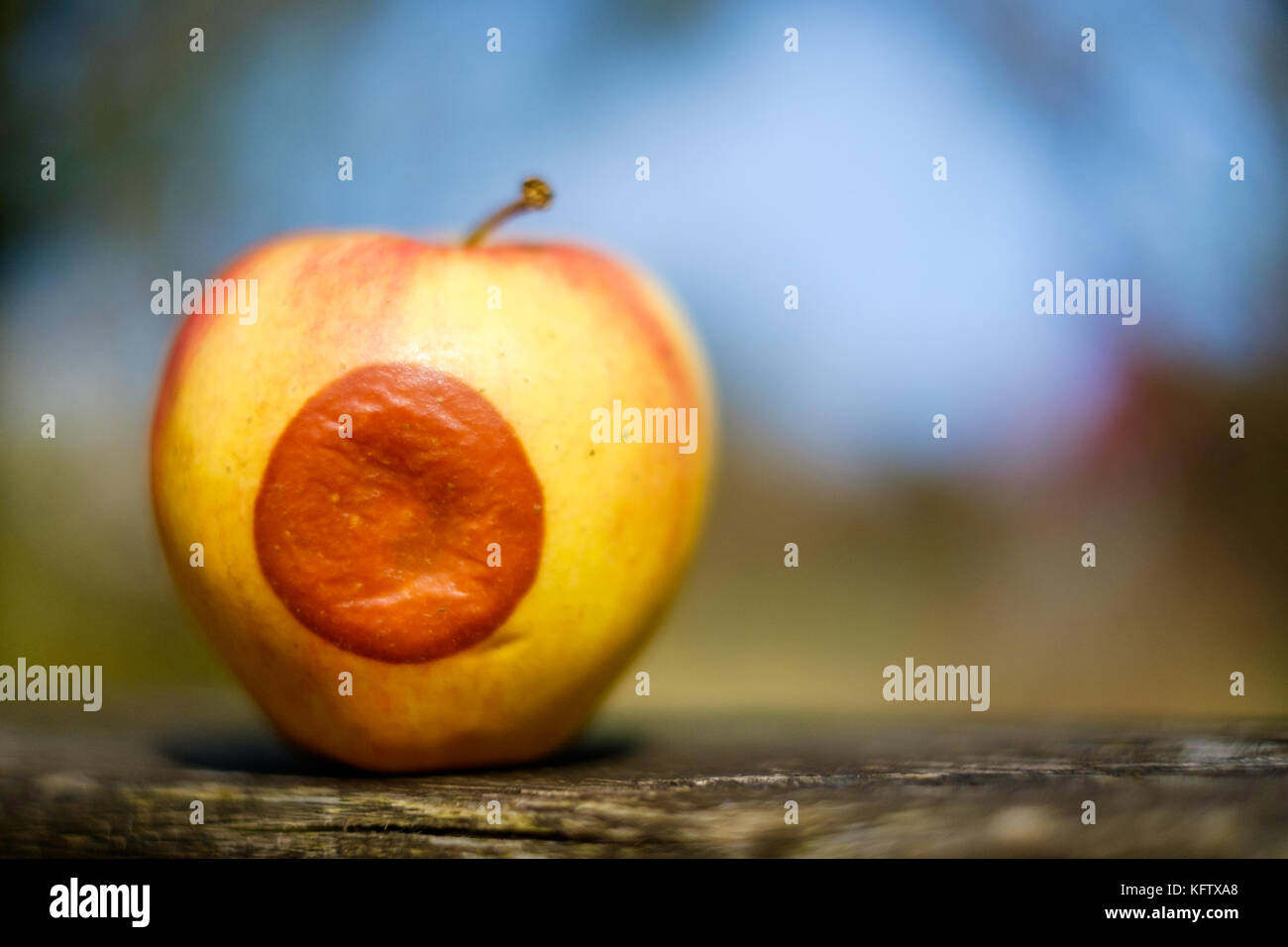 fauler Apfel Stock Photo