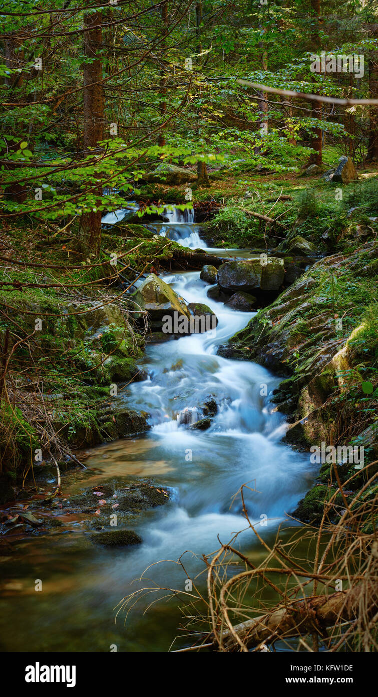 Landscape with mountain river flowing through forest Stock Photo - Alamy