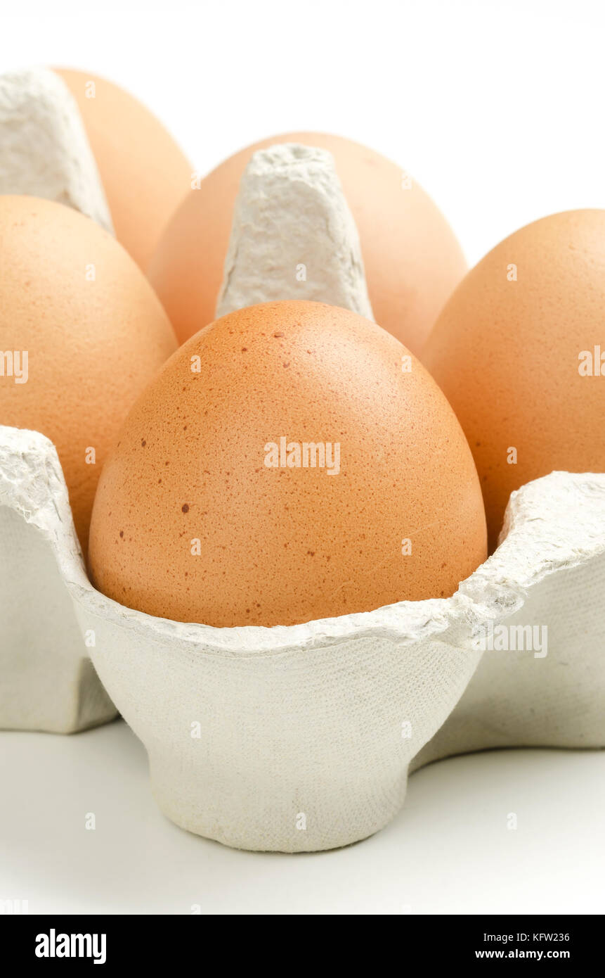 Chicken eggs in gray egg carton, front view. Raw slightly speckled brown hen eggs in recycled paper egg box. Common food and versatile ingredient. Stock Photo