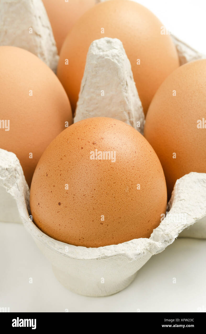 Brown chicken eggs in gray egg carton. Raw slightly speckled hen eggs in recycled paper egg box. Common food and versatile ingredient used in cooking. Stock Photo