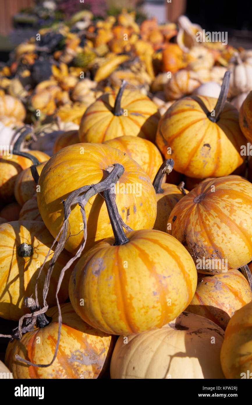 September Harvest Hi Res Stock Photography And Images Alamy