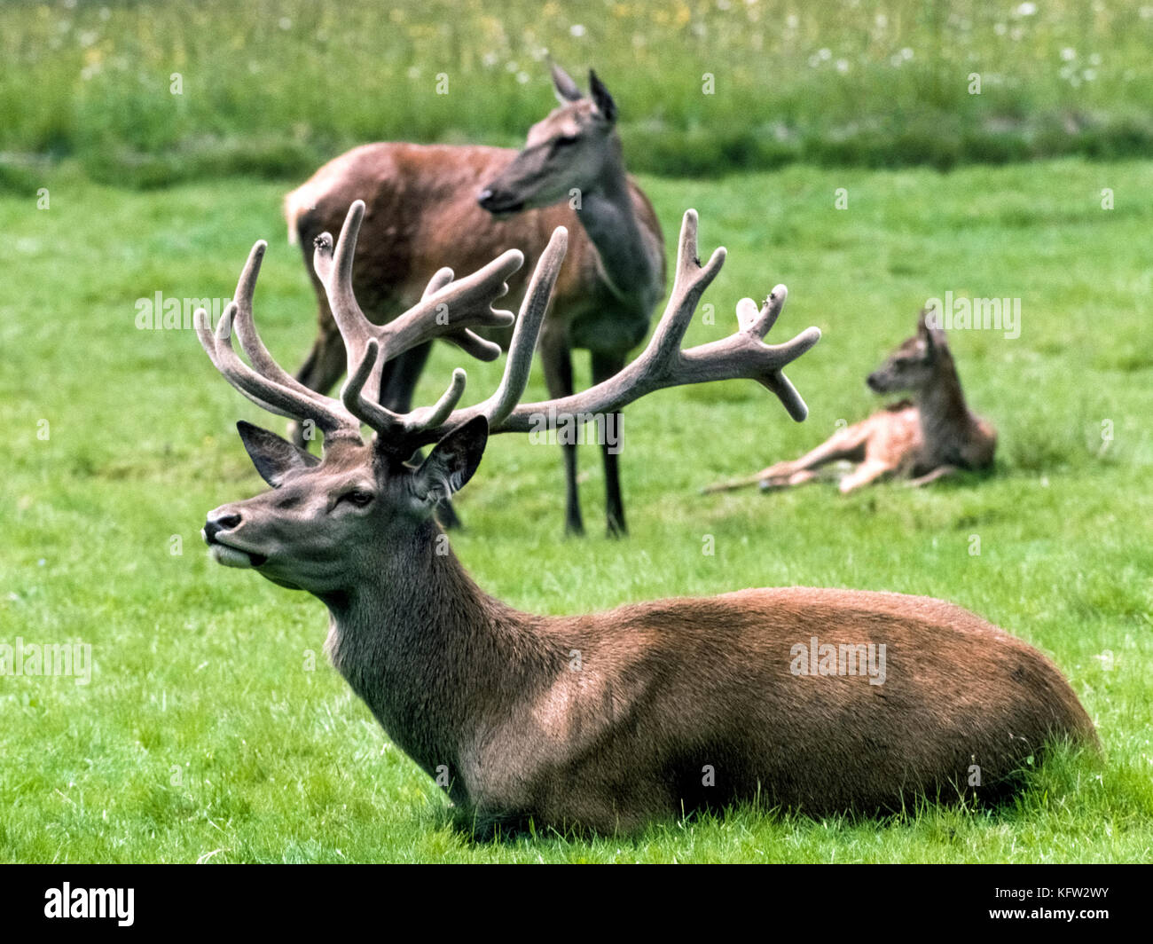 Family coat rack hi-res stock photography and images - Alamy