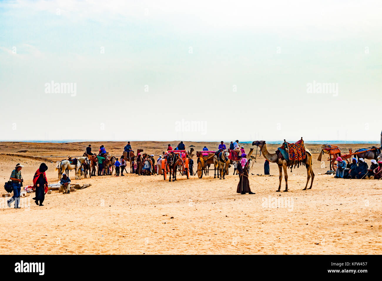 Camel caravan in Egypt Stock Photo
