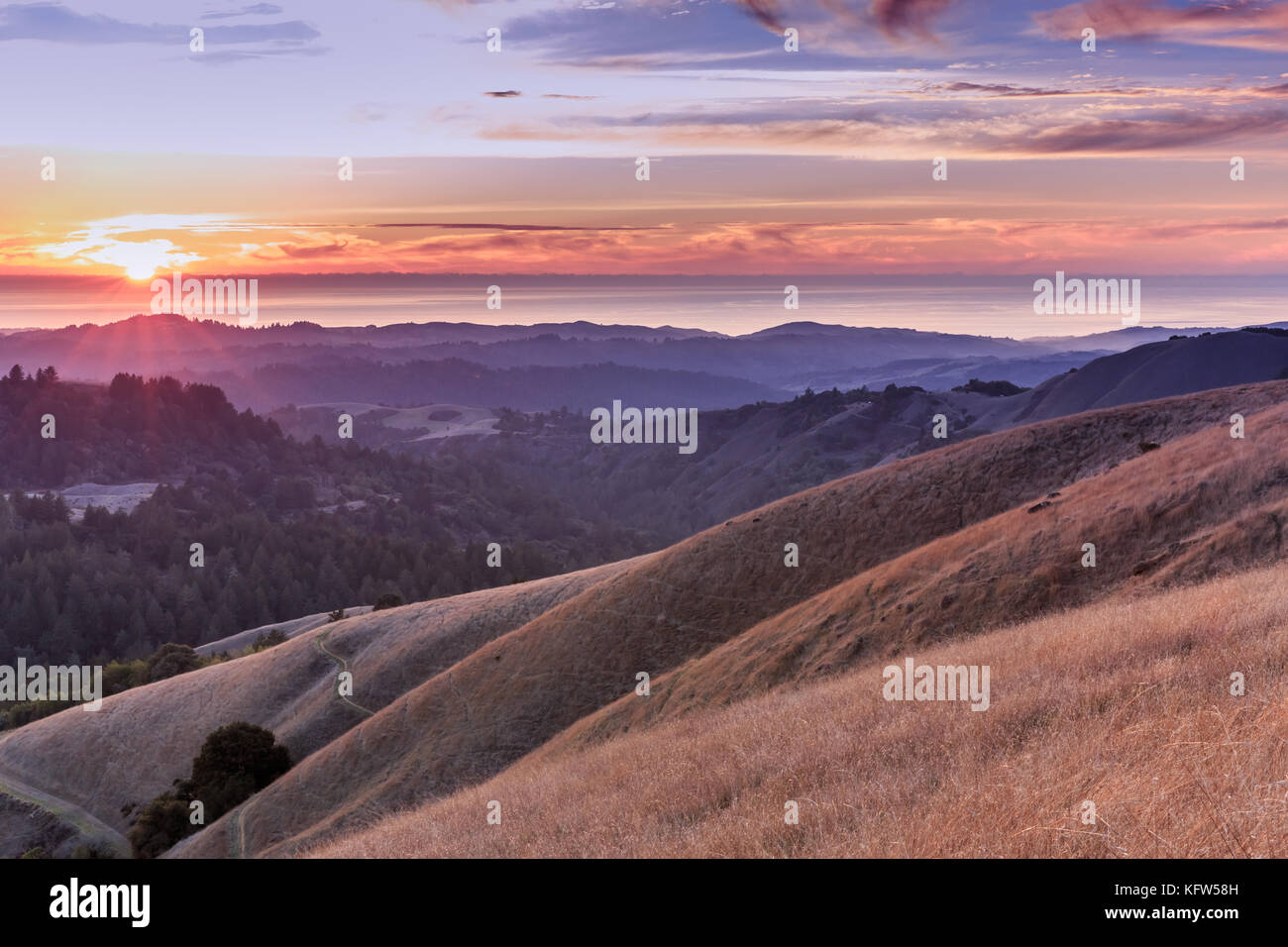 Northern California Rolling Hills Turn Gold in Autumn Sunset. Stock Photo