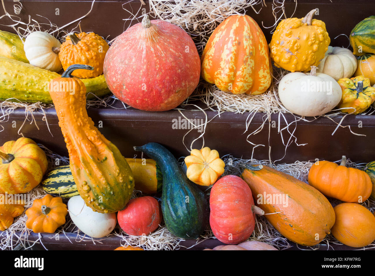 Squashes on display at a French greengrocer's store Stock Photo