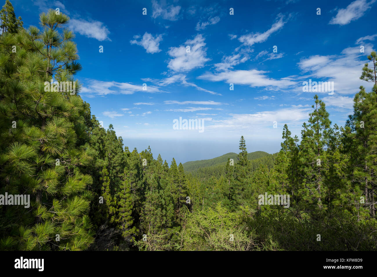 Esperanza hires stock photography and images Alamy