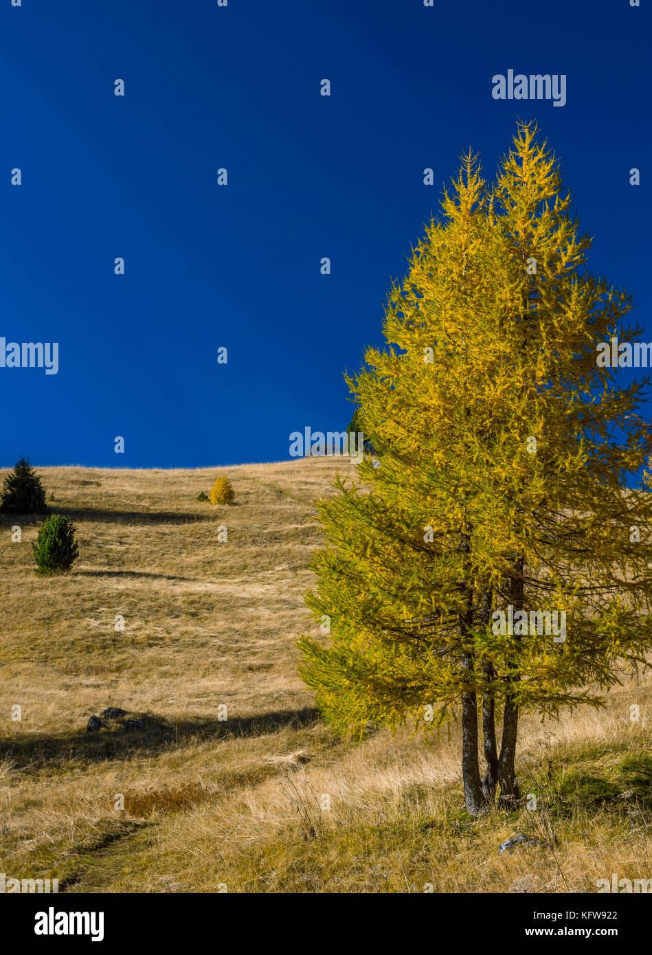Autumn landscape on Gardena Pass, Dolomites, South Tyrol, Italy, Europe Stock Photo