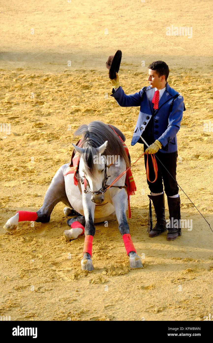 Spanish horse rider hires stock photography and images Alamy