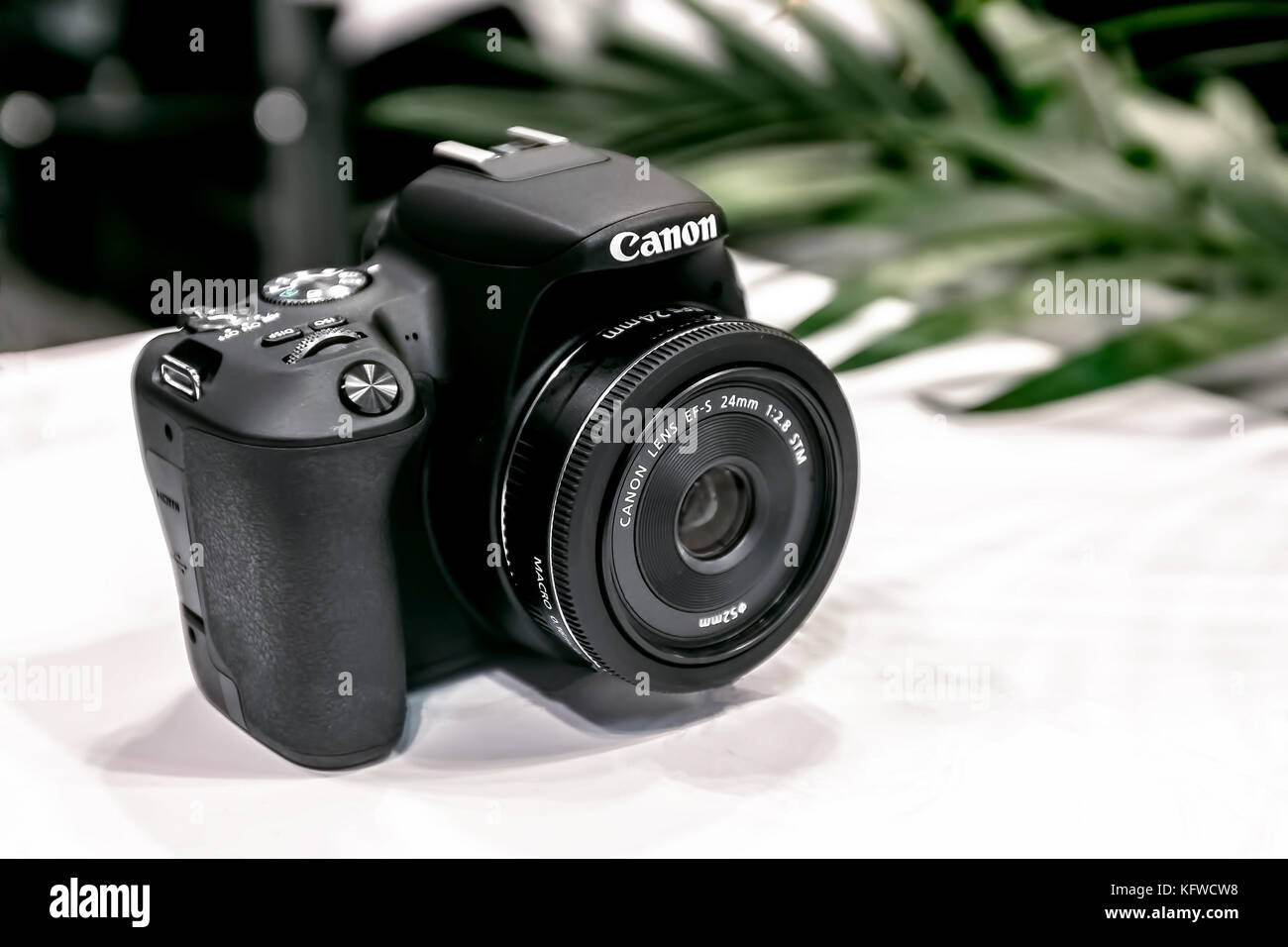 Canon camera. Stock Photo