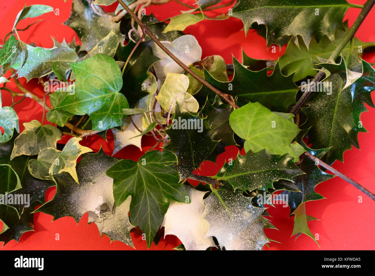 Holly and ivy decorations hires stock photography and images Alamy