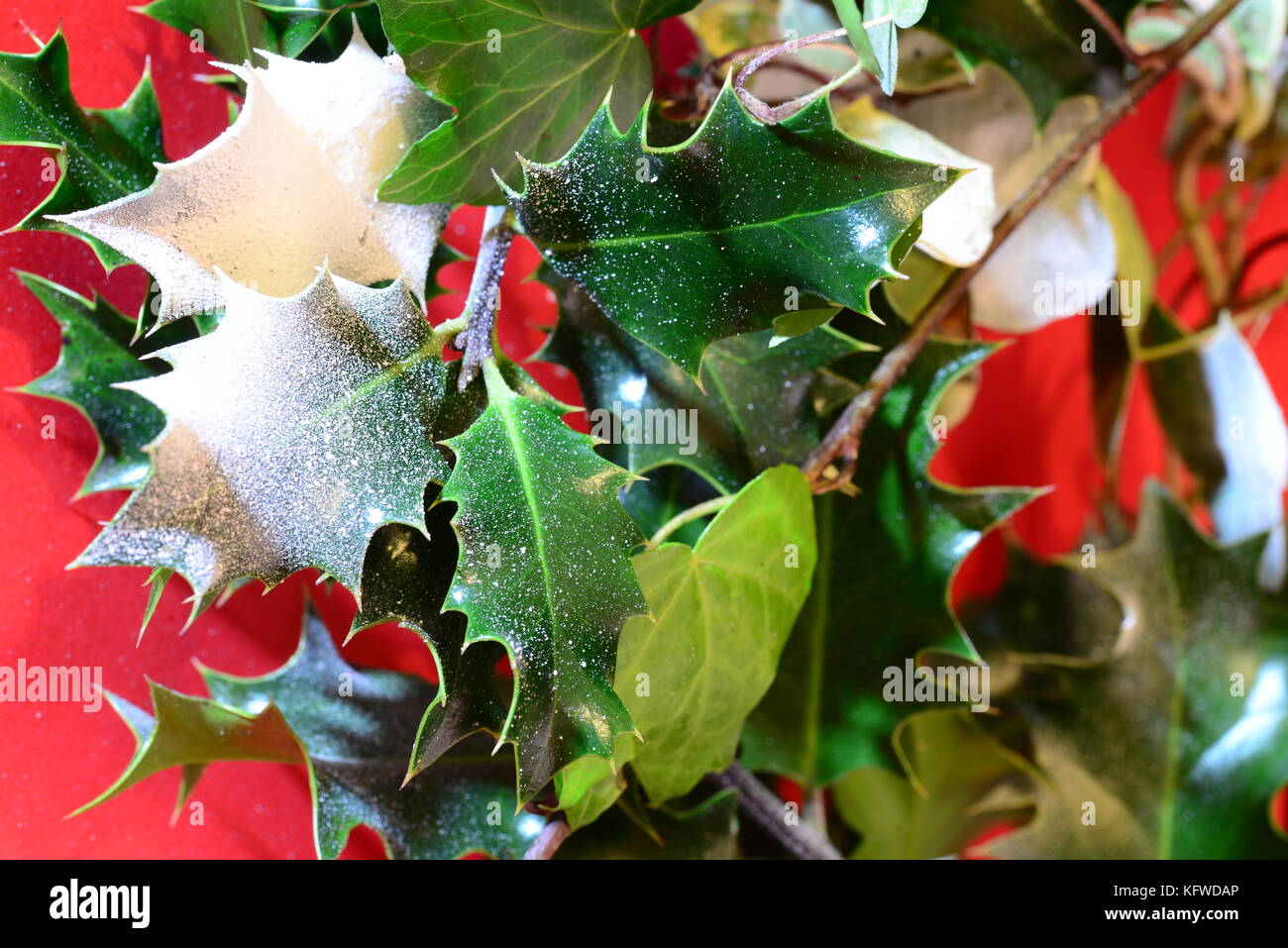 Holly and ivy decorations hires stock photography and images Alamy