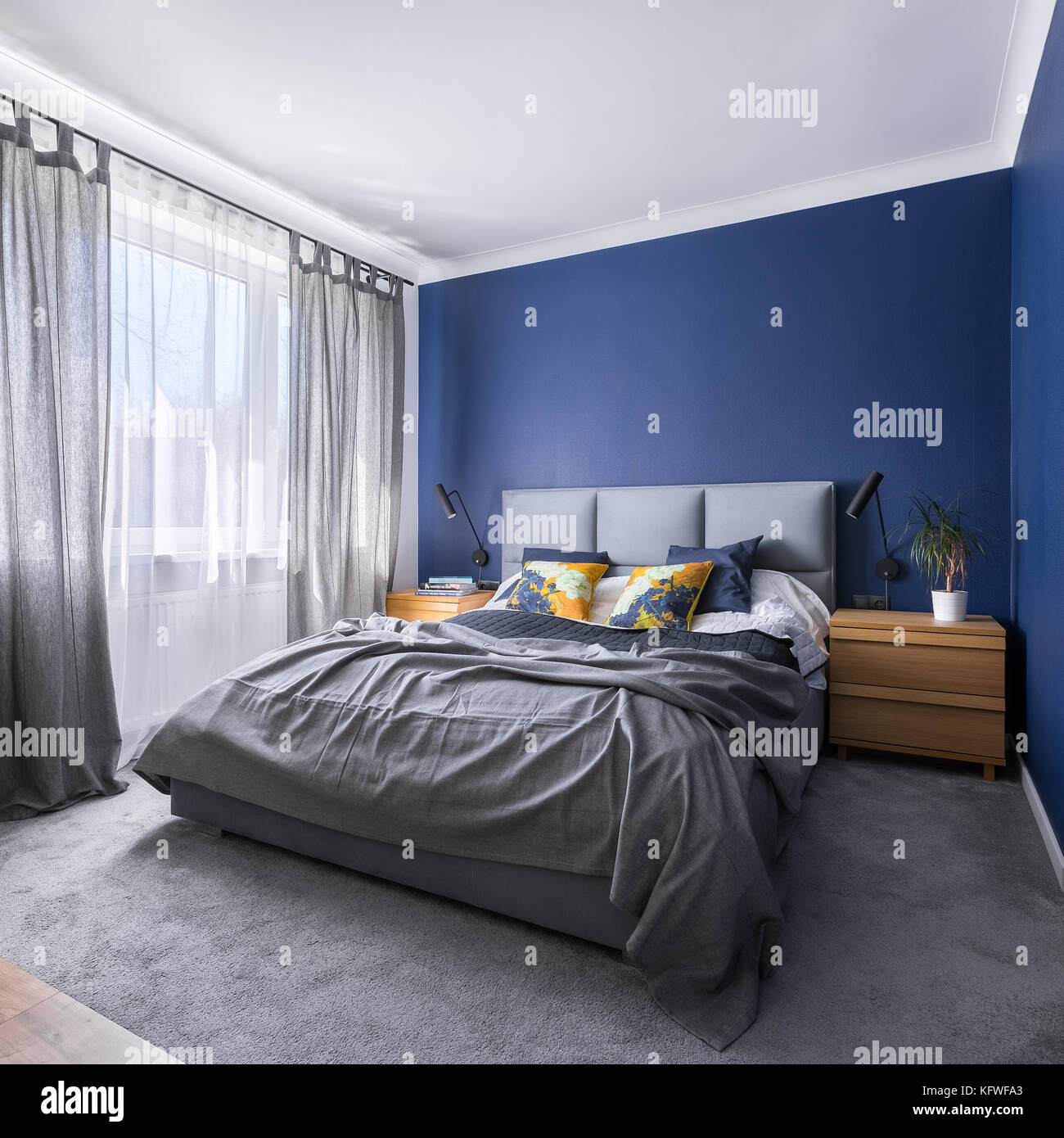 Modern, cobalt blue bedroom with double bed, gray bedding, carpet and  window Stock Photo - Alamy, image size:1300x1390