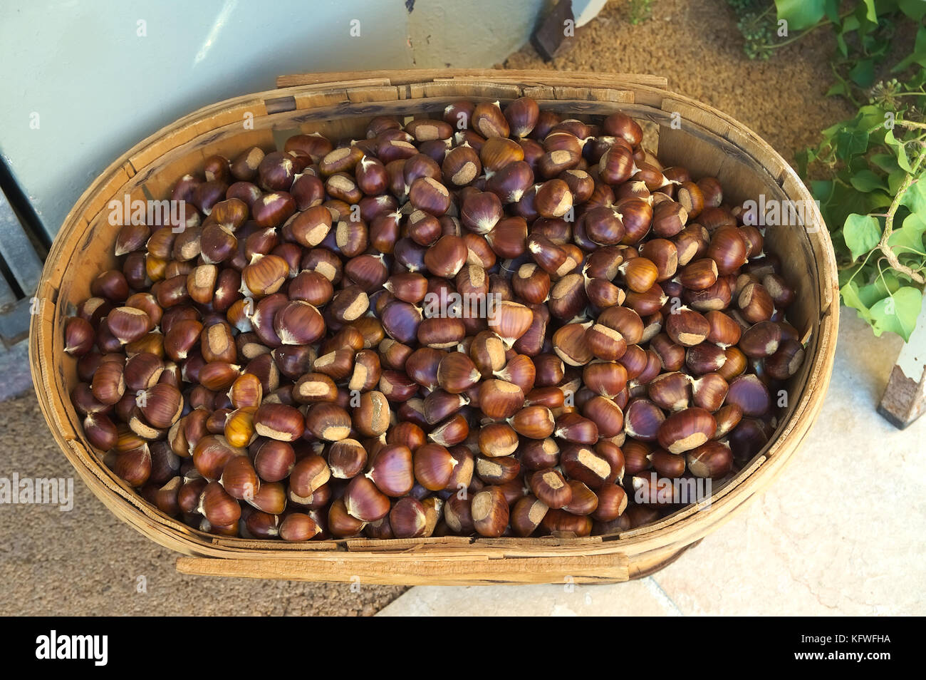 Basket Of Chesnut In A Provencal Market Of La Garde Freinet In French Stock Photo Alamy