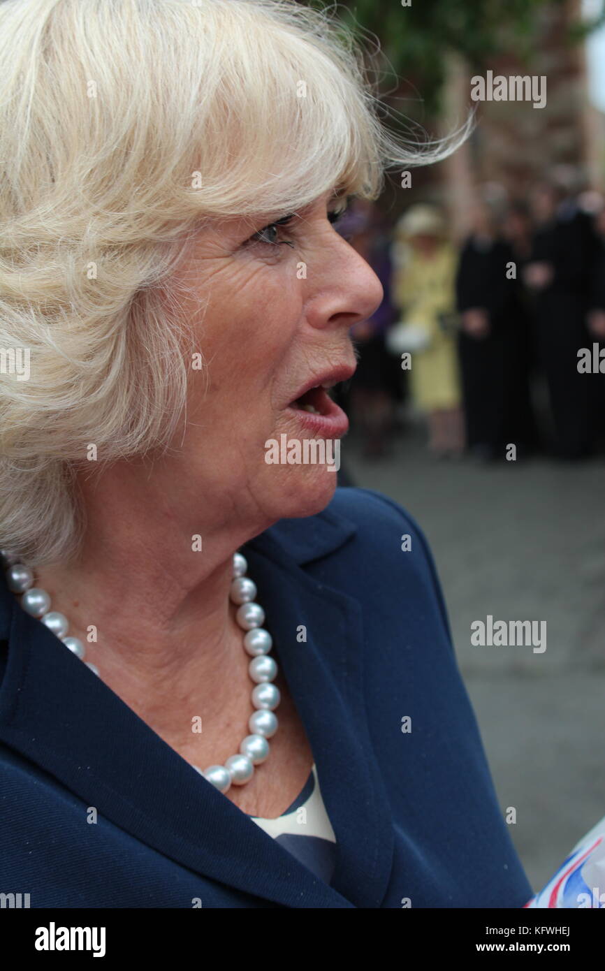 Prince of wales prince charles camilla royal royalty royal welsh hires