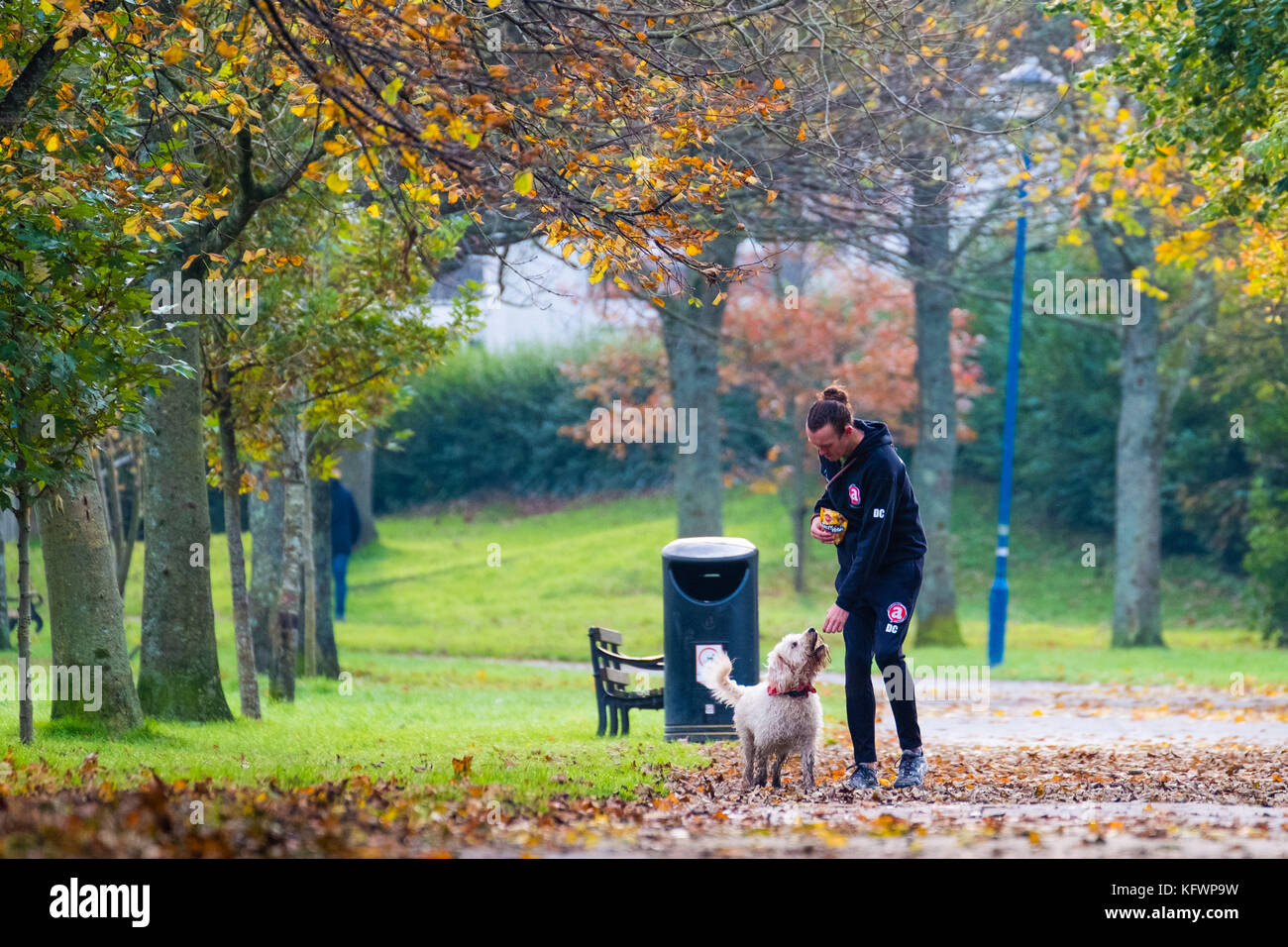 Aberystwyth Wales UK, Wednesday 1 November 2017 UK weather: People walking along Plascrug Avenue in Aberystwyth on the first day of November, with all the deciduous trees shedding their leaves in a myriad of rich autumnal colours photo Credit: Keith Morris/Alamy Live News Stock Photo