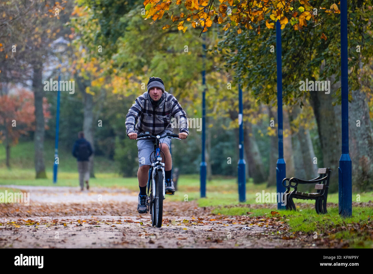 Aberystwyth Wales UK, Wednesday 1 November 2017 UK weather: A man cycling along Plascrug Avenue in Aberystwyth on the first day of November, with all the deciduous trees shedding their leaves in a myriad of rich autumnal colours photo Credit: Keith Morris/Alamy Live News Stock Photo