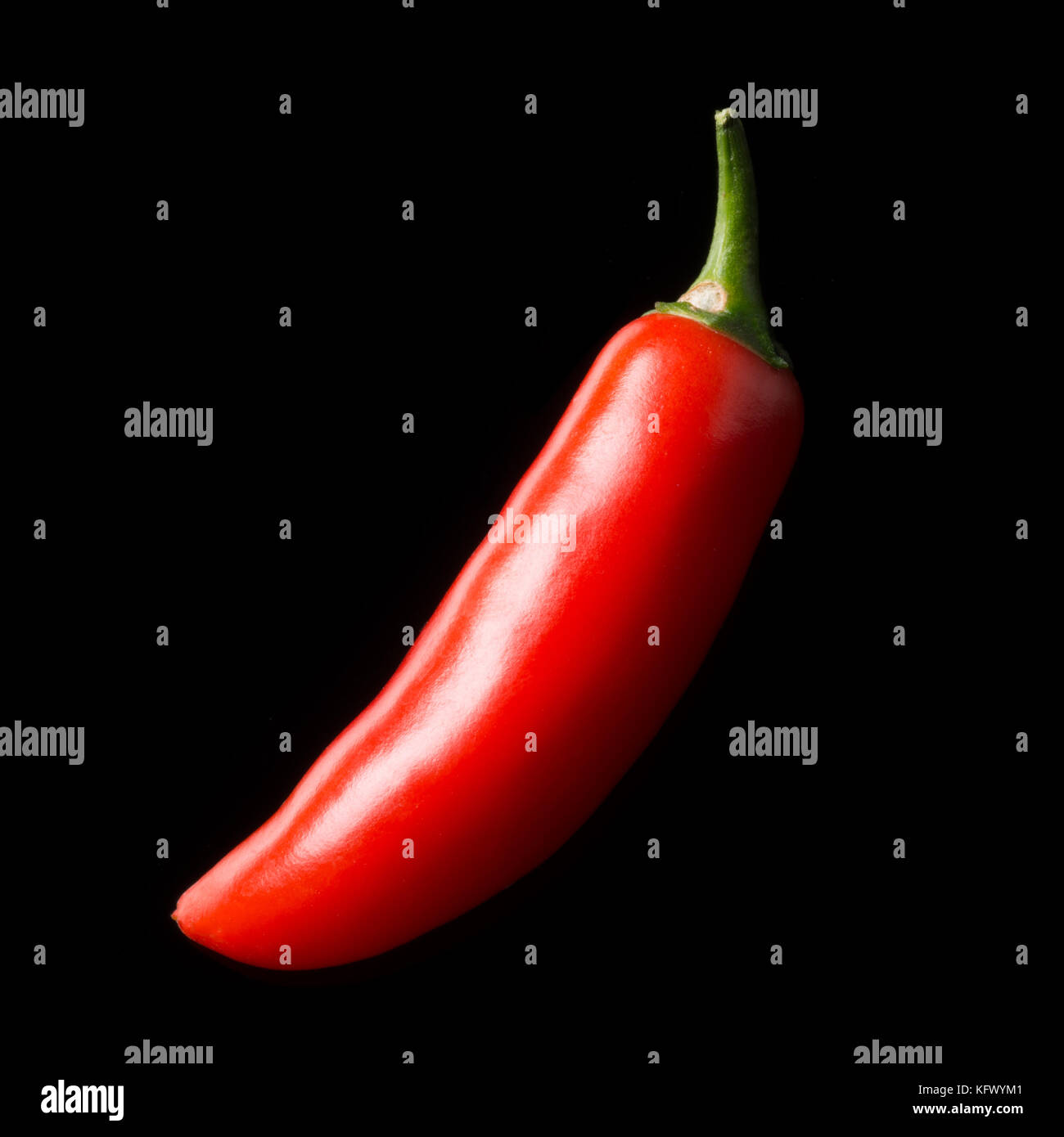 Santa Ana, California, USA. 25th Oct, 2017. The serrano pepper is a