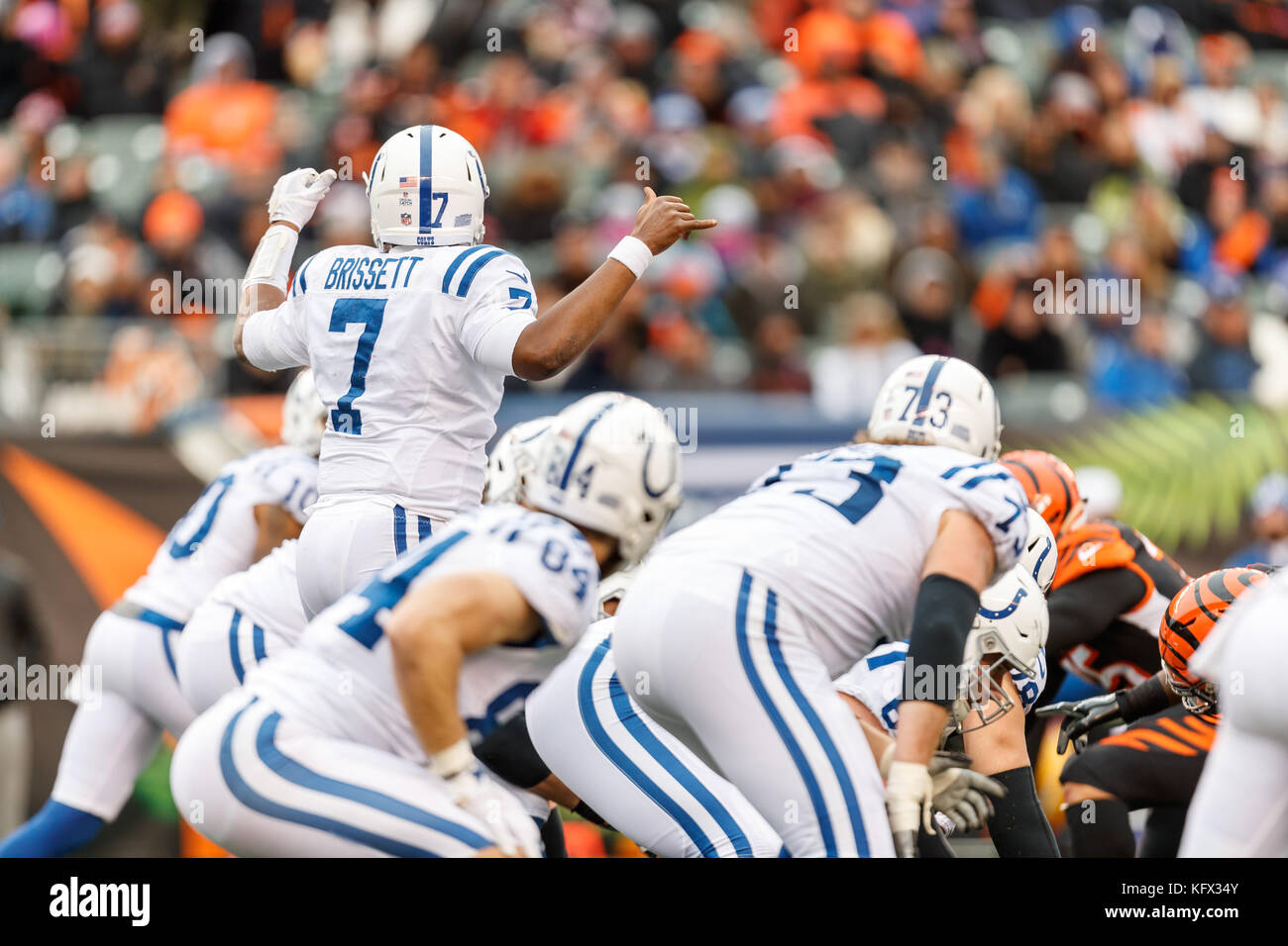 Indianapolis Colts punter Rigoberto Sanchez (8) kicks the ball during an  NFL football game against the Cleveland Browns, Sunday, Oct. 11, 2020, in  Cleveland. (AP Photo/Kirk Irwin Stock Photo - Alamy