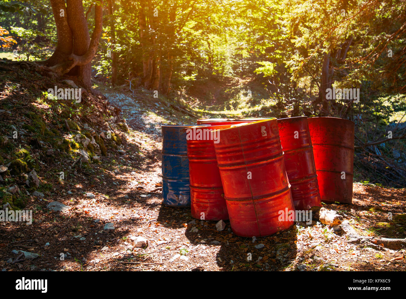 Toxic waste barrels in the forest, environmental issue and ecology Stock Photo