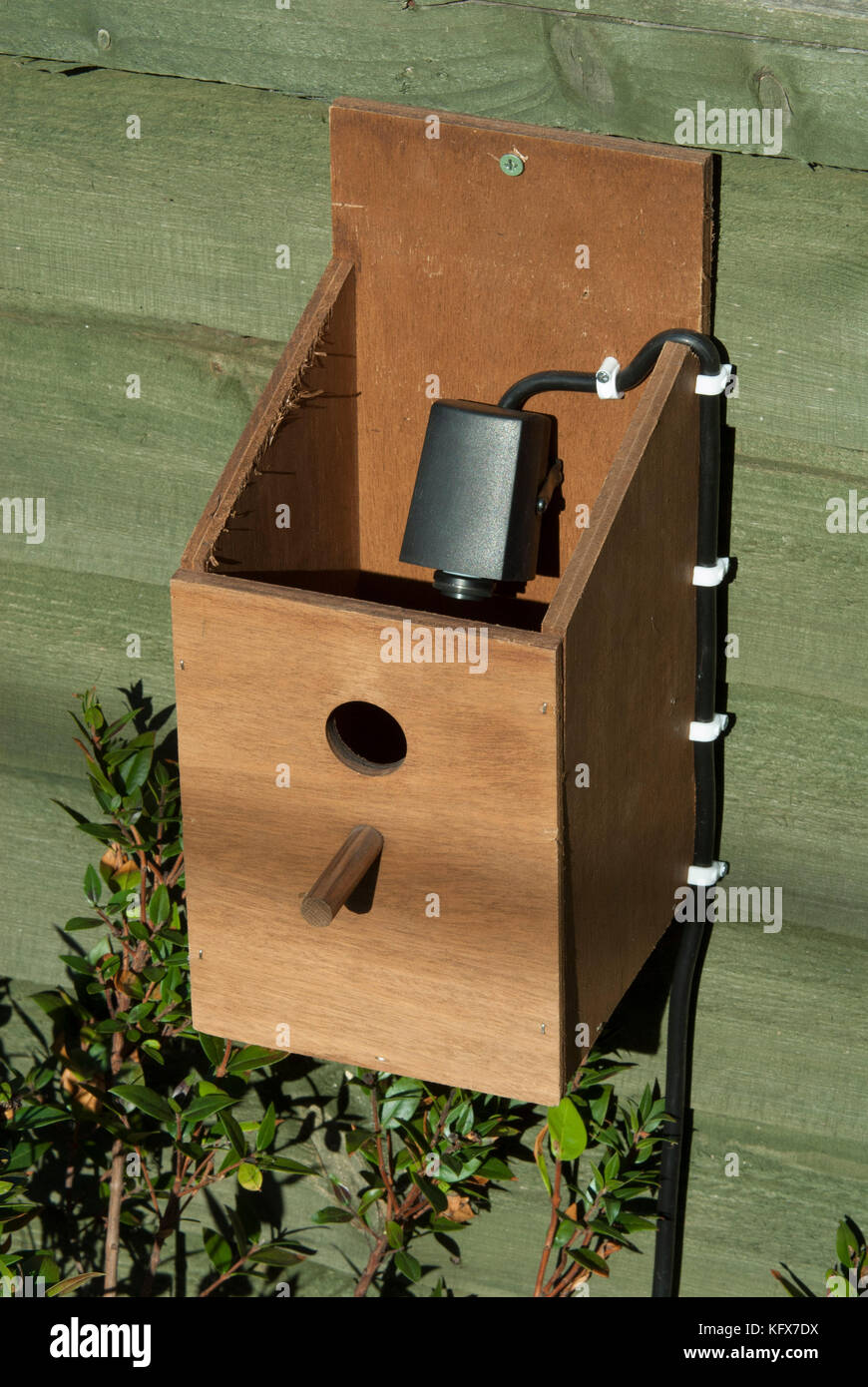 Bird Box with camera installed to view nesting birds, in garden, box