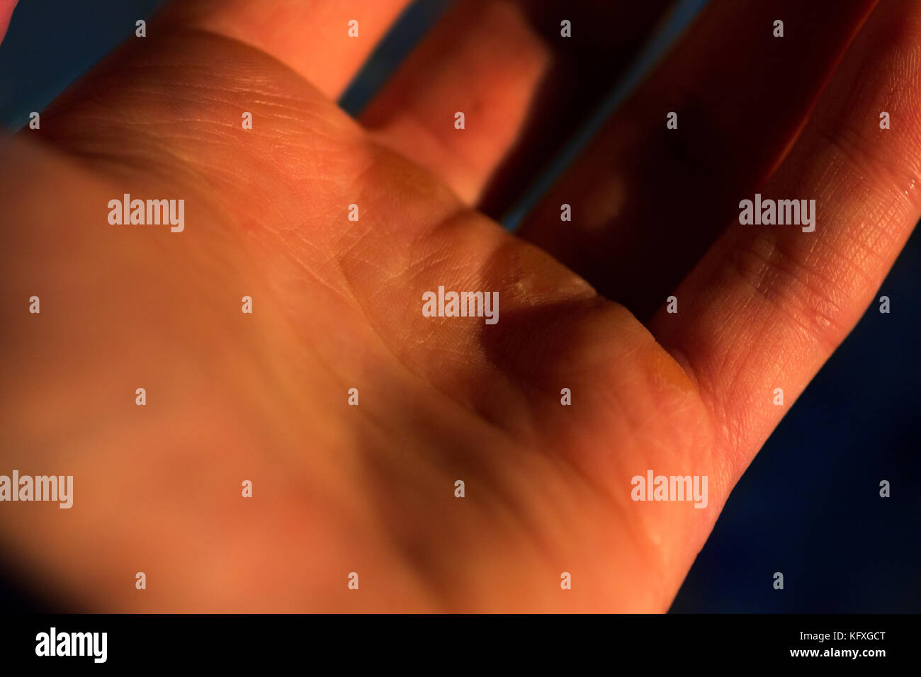 human hand in macro, life line, calluses on hand Stock Photo Alamy