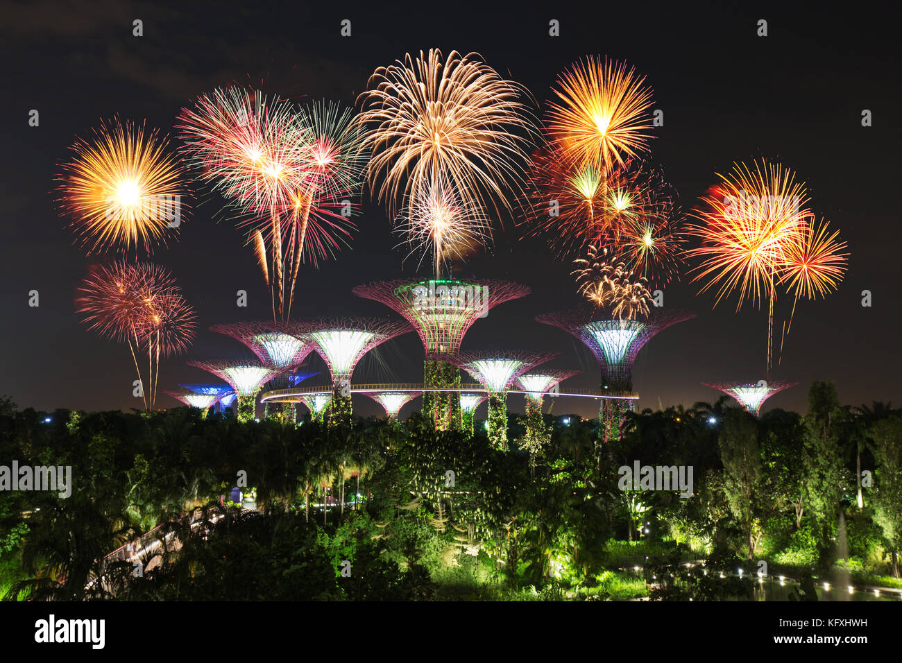 beautiful firework over Gardens by the bay with light at night, Singapore Stock Photo