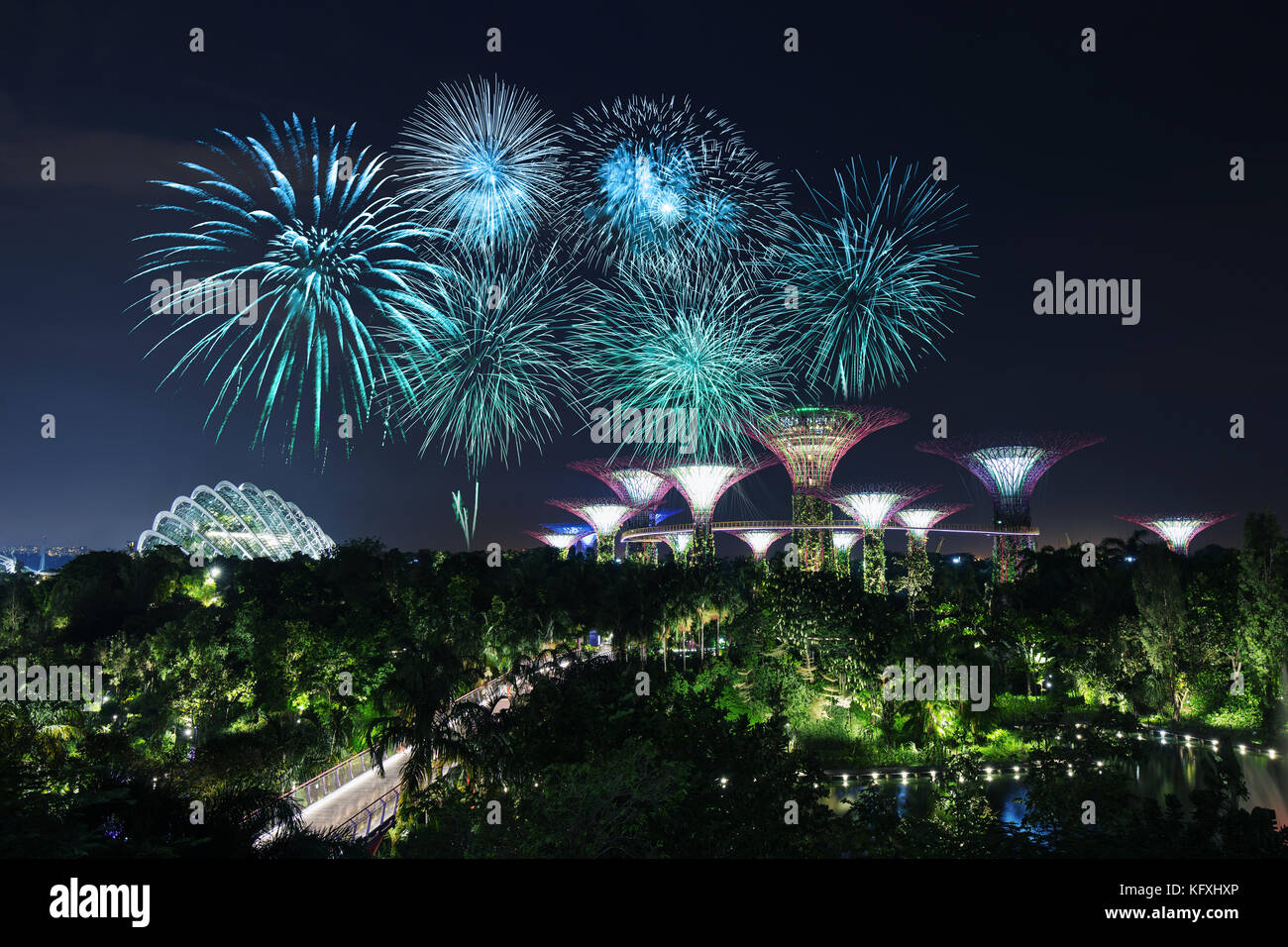 beautiful firework over Gardens by the bay with light at night, Singapore Stock Photo